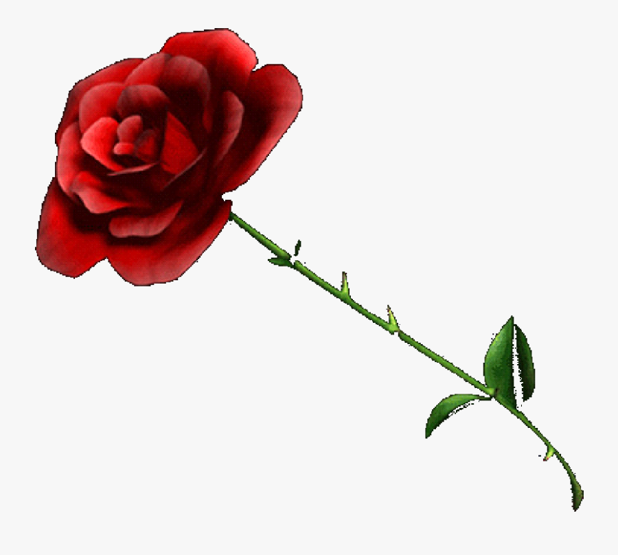 Rose - Small Rose No Background, Transparent Clipart
