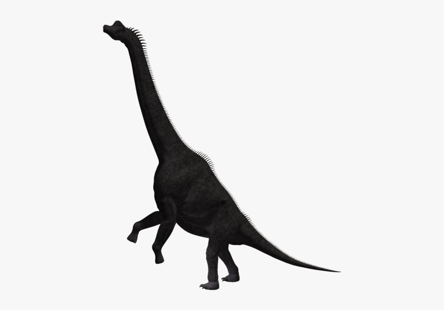 Brachiosaurus Dinosaur Stock Photography Royalty-free - Brachiosaurus, Transparent Clipart