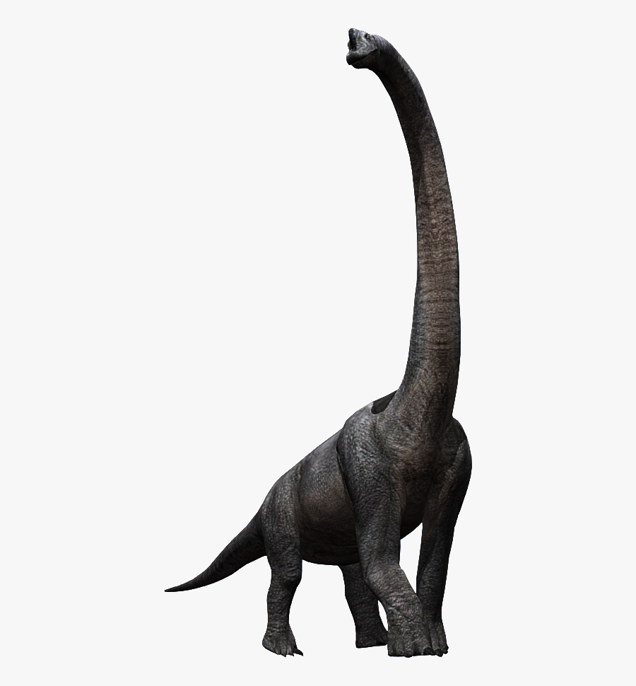 Jette Anelia Powell En Pinterest - Brachiosaurus Jurassic World Png, Transparent Clipart