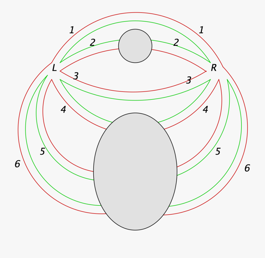 Circle, Transparent Clipart