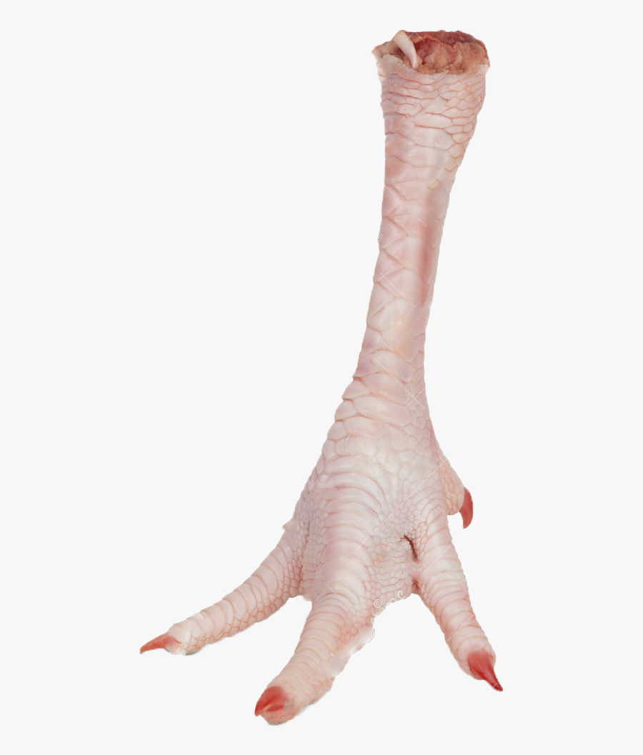 Transparent Chicken Feet Clipart, Transparent Clipart