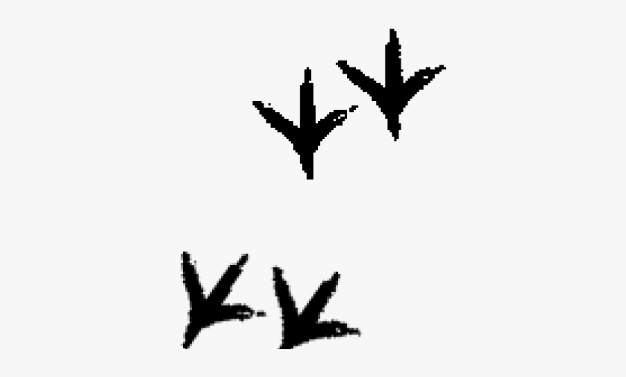 Chicken Feet Cliparts - Turkey Tracks Png, Transparent Clipart