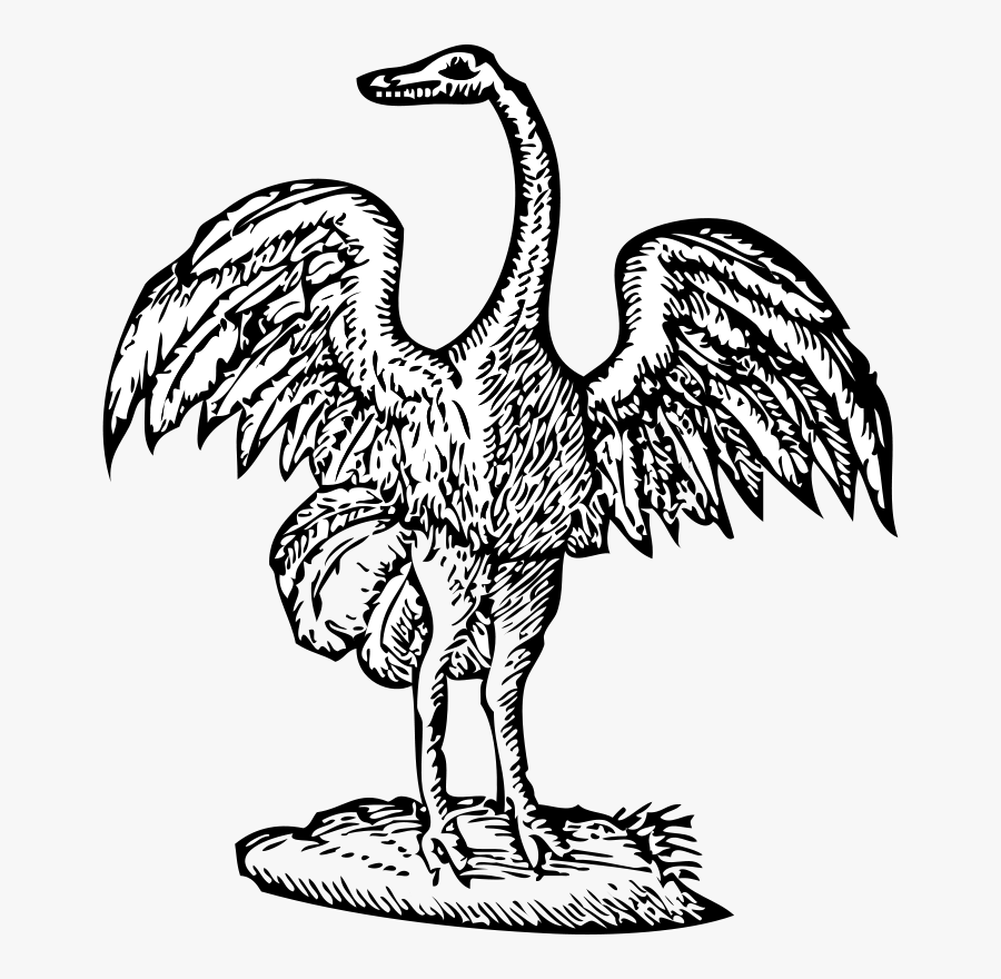 Bird Engraving, Transparent Clipart