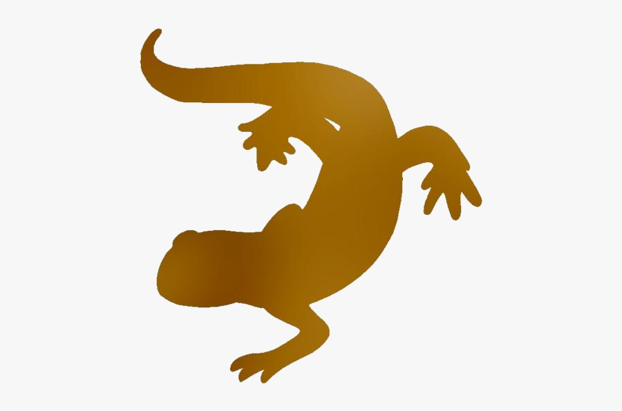 Reptiles Png Transparent Images - Lizard, Transparent Clipart