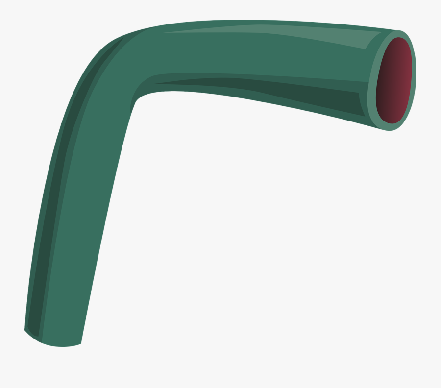 Transparent Veins Texture Png - Transporte De Sustancias En Organismos Pluricelulares, Transparent Clipart