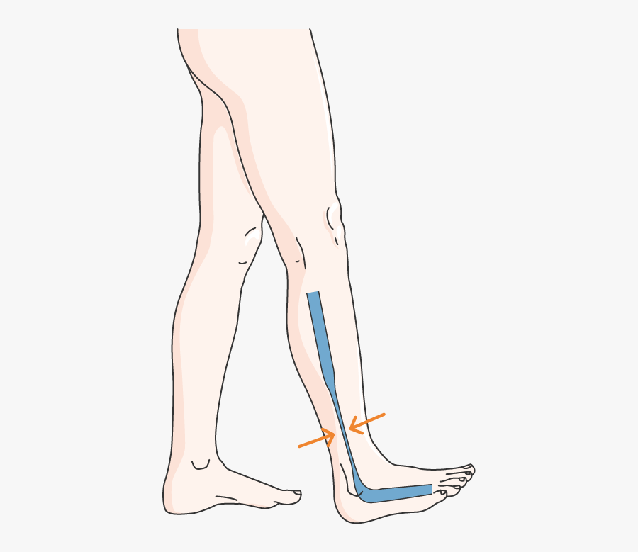 Pompe Pied - Illustration, Transparent Clipart