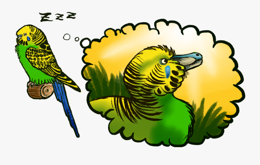 Transparent Budgie Png - Parakeet Raptor, Transparent Clipart