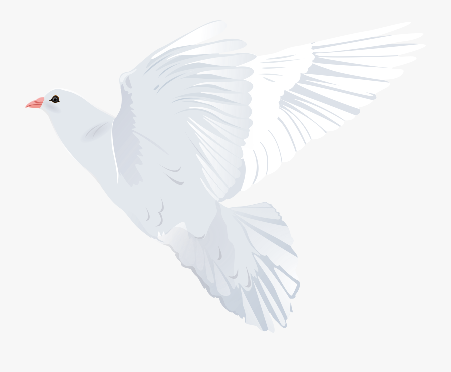 White Dove Transparent Png Clip Art Image, Transparent Clipart