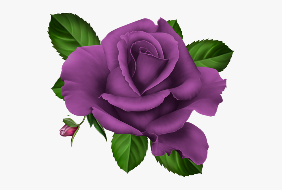 Roses Pink Roze Rosa - Purple Roses Transparent Png, Transparent Clipart