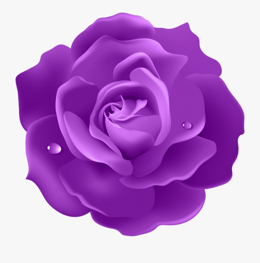 Purple Roses Png - Red Rose Background Hd, Transparent Clipart