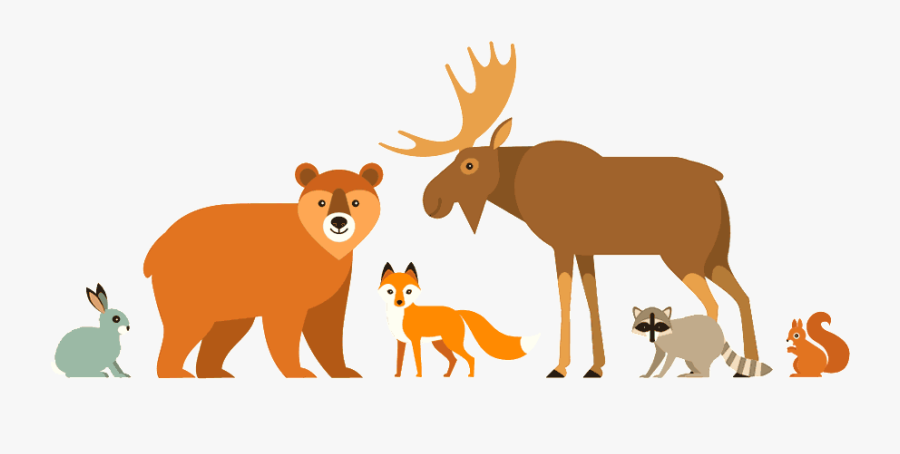 Scan Agile, Transparent Clipart