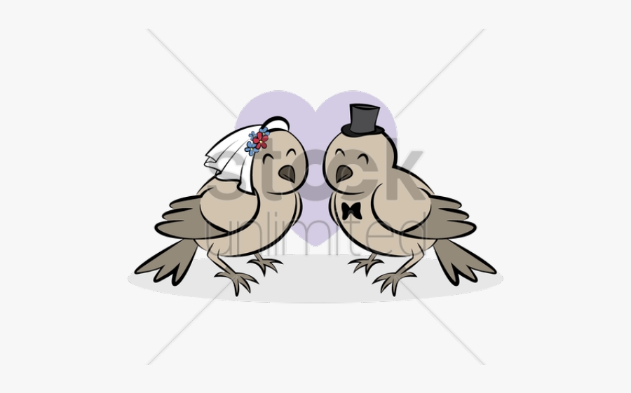 African Grey, Transparent Clipart
