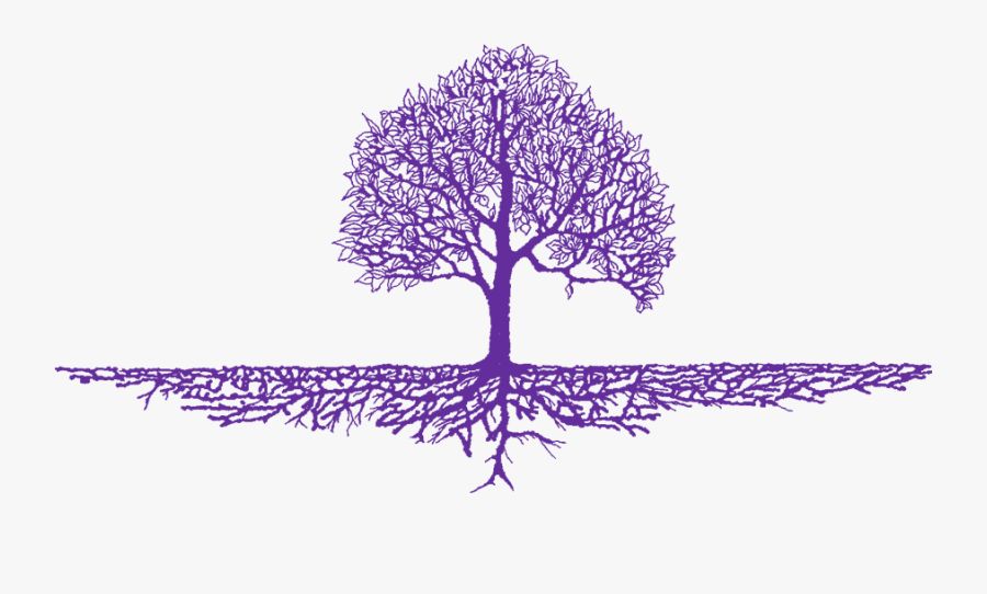 Tree With Roots Transparent Background, Transparent Clipart