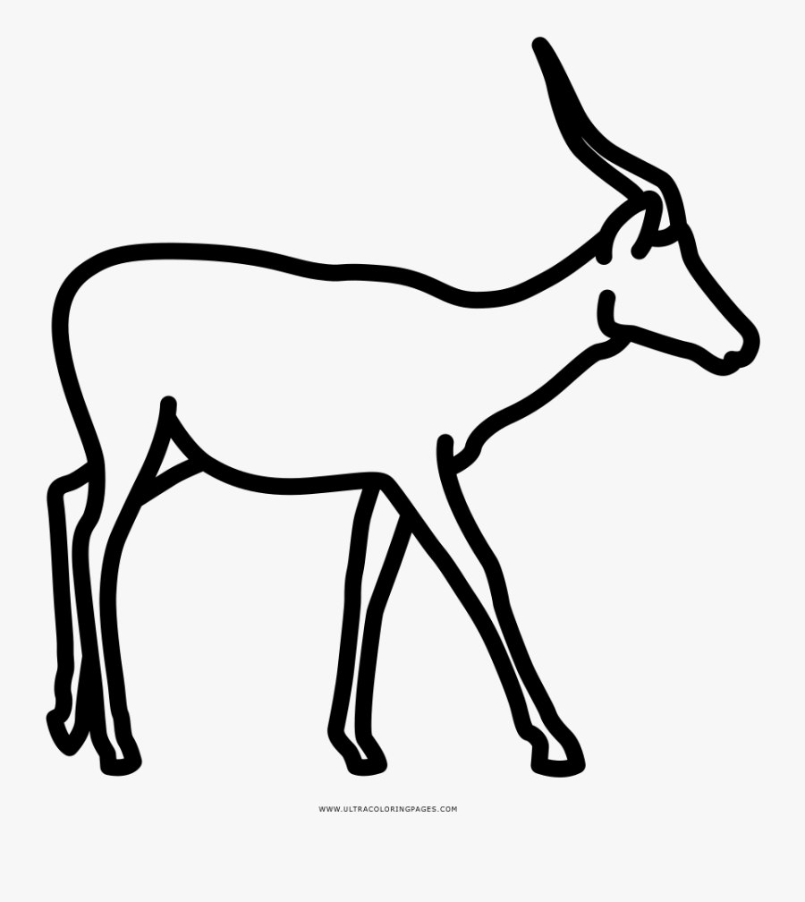 Impala Year Coloring Page, Printable Impala Year Coloring, - Antelope, Transparent Clipart