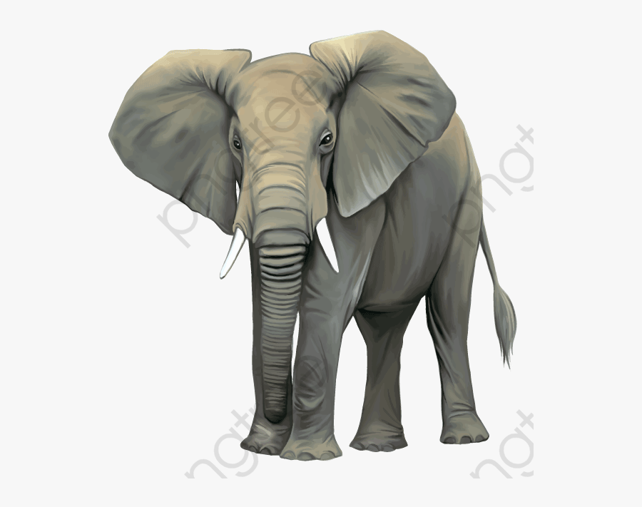 Elephant Clipart Realistic Transparent - Elephant Wild Animals Clipart, Transparent Clipart