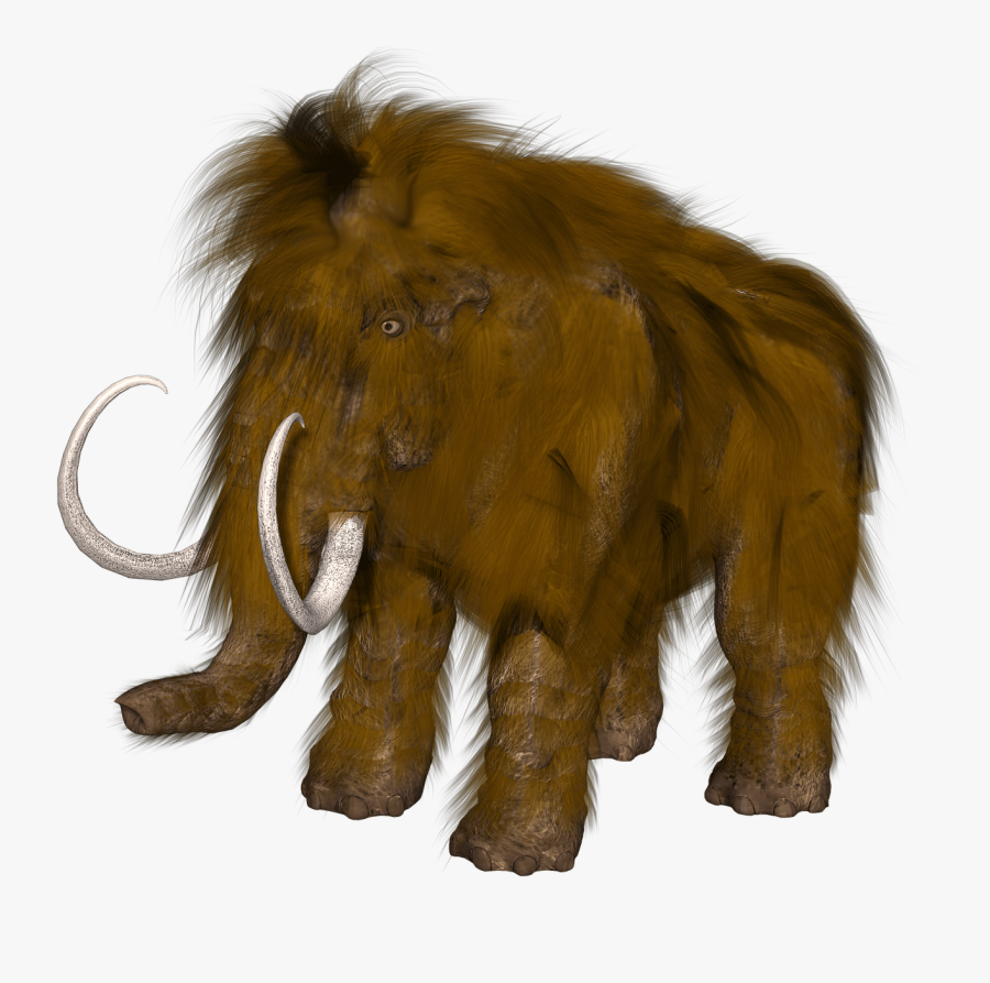 Transparent Lion Drawing Png - Mammoth Transparent Background, Transparent Clipart