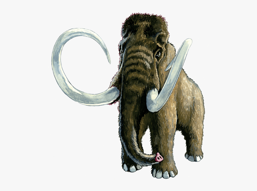 Transparent Mammoth Png - Wooly Mammoth Transparent Background, Transparent Clipart