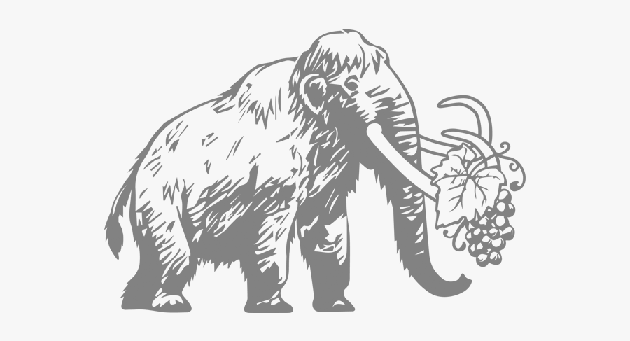 Indian Elephant, Transparent Clipart