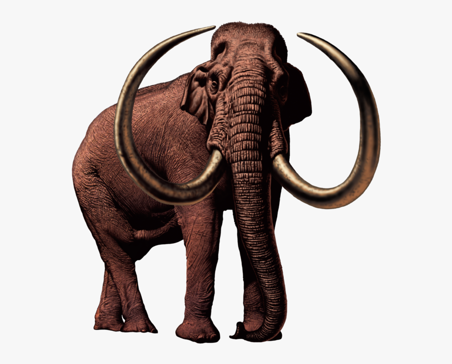 Transparent Mammoth Png - Columbian Mammoth Png, Transparent Clipart