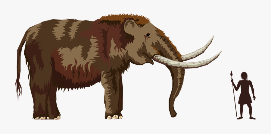 Mastodon"
 Class="img Responsive True Size Tnt Experimental - Mammoth Clipart, Transparent Clipart