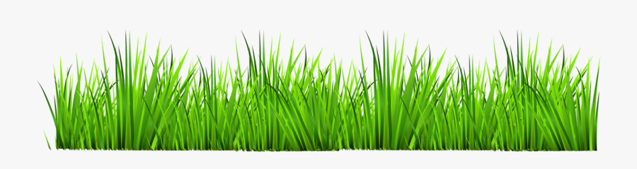 Grass Clipart, Transparent Clipart