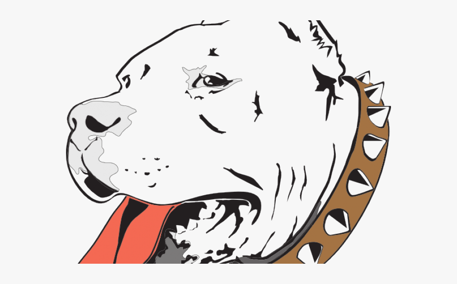 Pitbull Drawings, Transparent Clipart