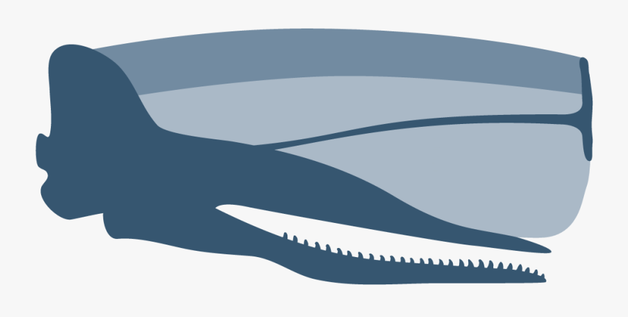Echo , Free Transparent Clipart - ClipartKey