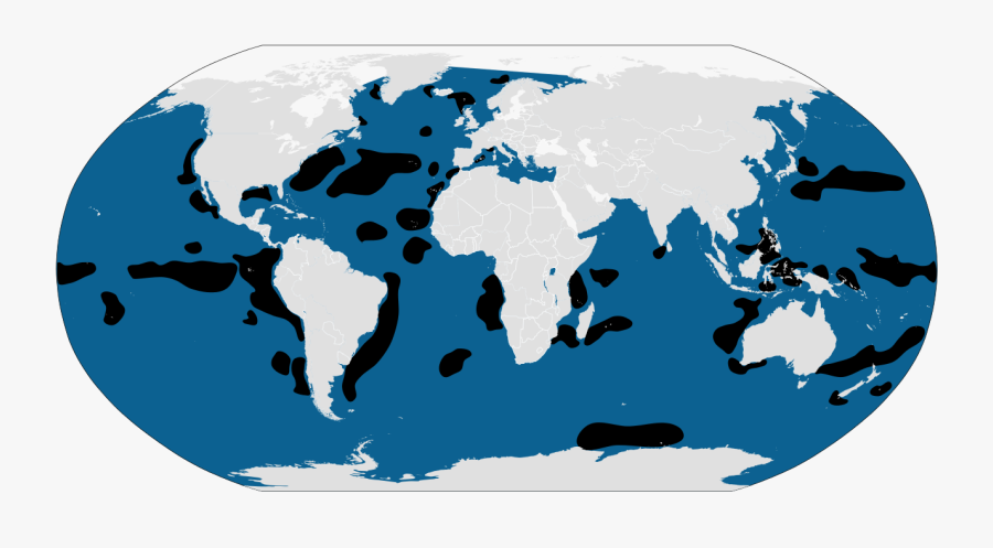 World Map With Subdivisions, Transparent Clipart