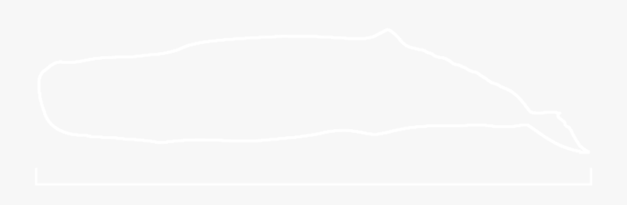 Johns Hopkins White Logo, Transparent Clipart