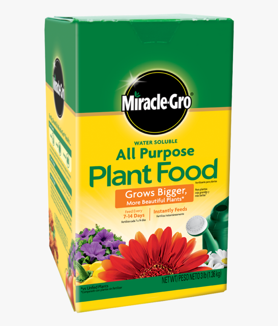 Miracle Clipart, Transparent Clipart