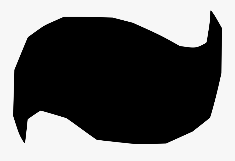 Photography, Transparent Clipart