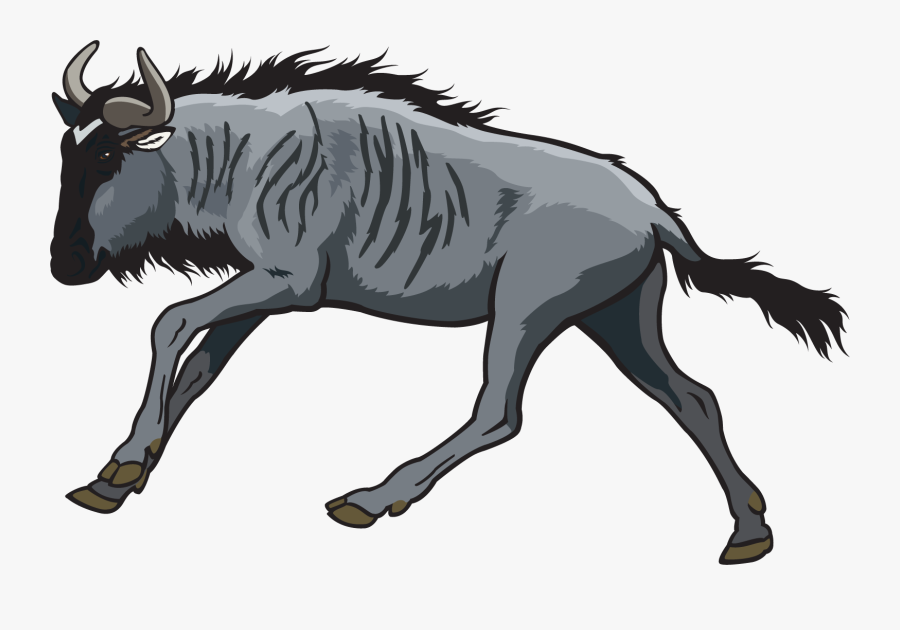 Wildebeest And Zebra Vector, Transparent Clipart
