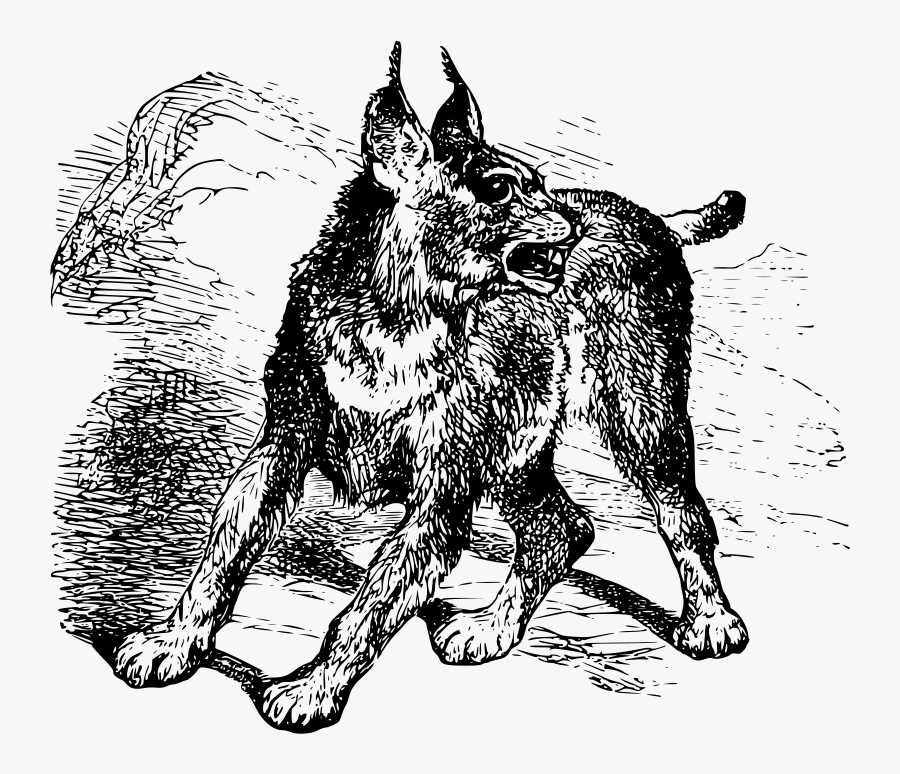 Caracal Clipart Icon Png - Caracal, Transparent Clipart