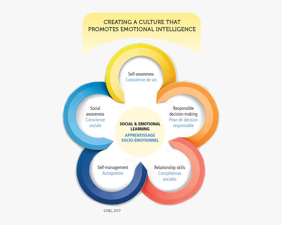 Diagram, Transparent Clipart