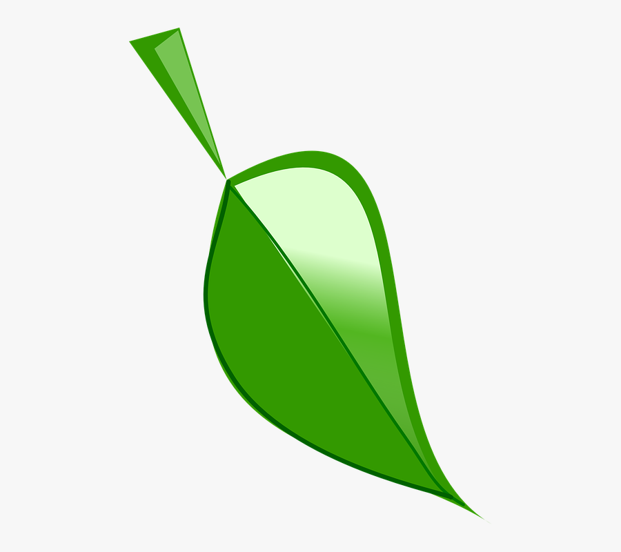 Leaf, Green, Nature, Ecology, Bio, Organic, Transparent Clipart
