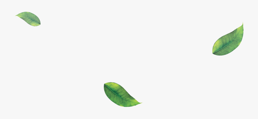 Starfruit, Transparent Clipart