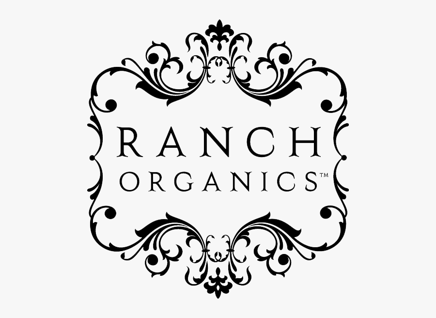 Modern Vintage Frame, Transparent Clipart