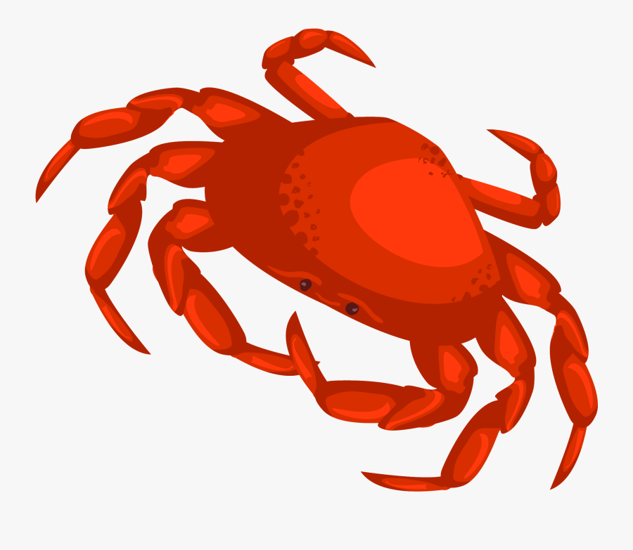 Transparent Horseshoe Crab Clipart - Crab Vector Png, Transparent Clipart