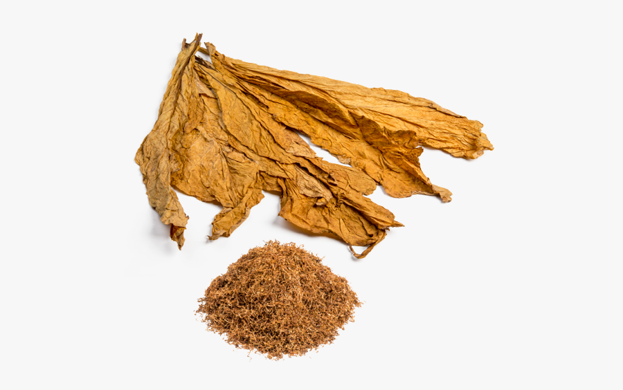 Tobacco Leaf Png - Tobacco, Transparent Clipart