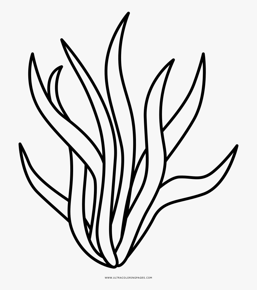 Seaweed Images Lineart - Seaweed Clipart Black And White, Transparent Clipart