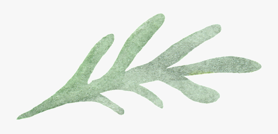 Drawn Seaweed Transparent - Grass, Transparent Clipart