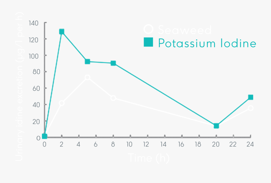 Plot, Transparent Clipart