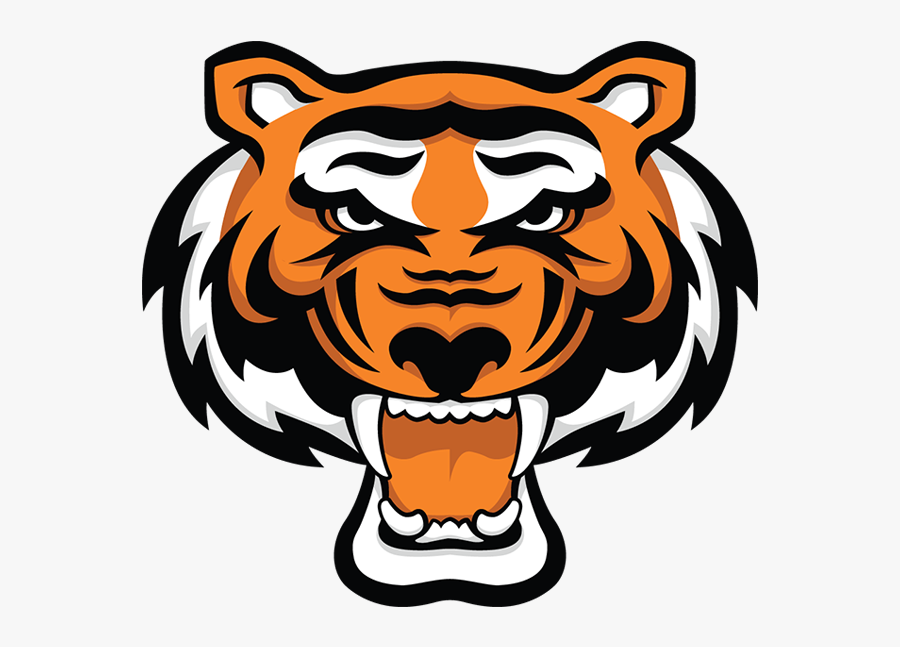 Drawn Tiger Fierce Tiger - Rawlings Tigers Logo, Transparent Clipart