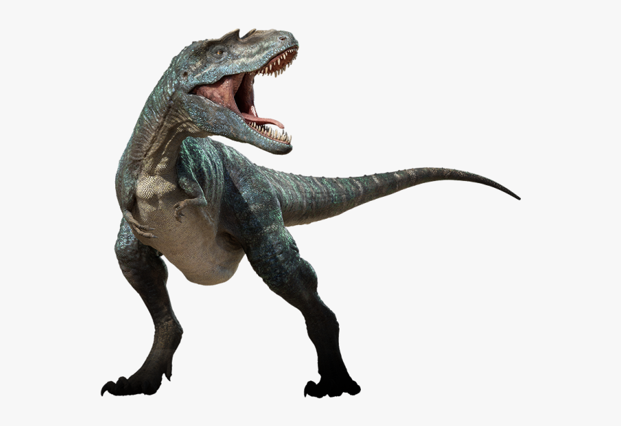 Pictures Of Pictures Of Dinosaurs - Gorgosaurus Dinosaur, Transparent Clipart