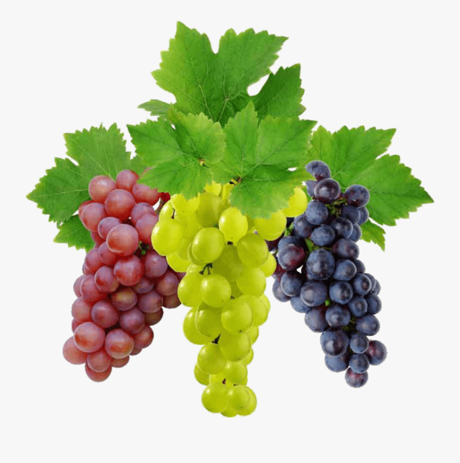 Grapes Clipart Clear Background - Transparent Background Grapes Png, Transparent Clipart