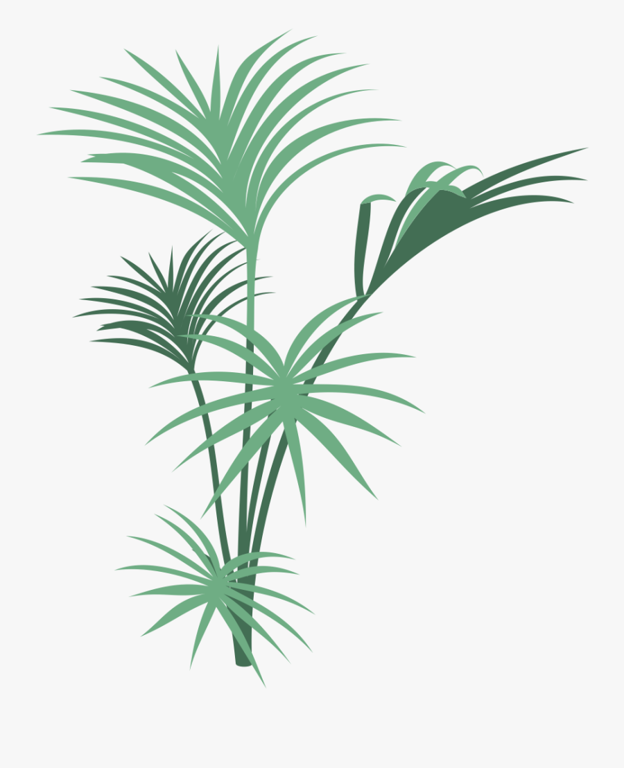 Jungle Plant Png - Cover Page Designs For Lesson Plan, Transparent Clipart