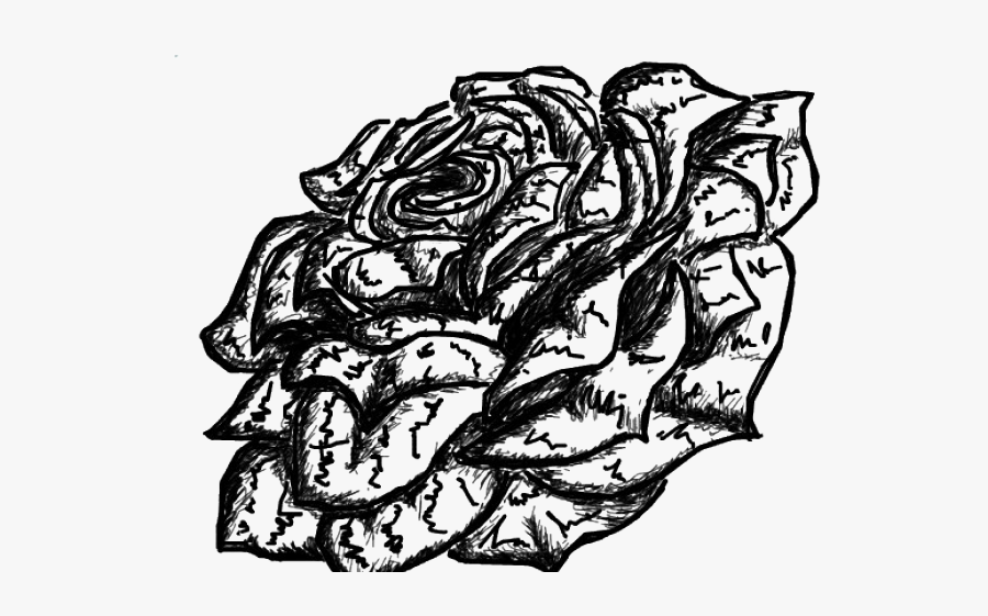 Rose Tattoo Png Transparent Images - Illustration, Transparent Clipart