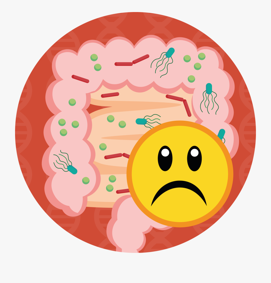 Abdomen Food Smile Clip - Abdomen, Transparent Clipart