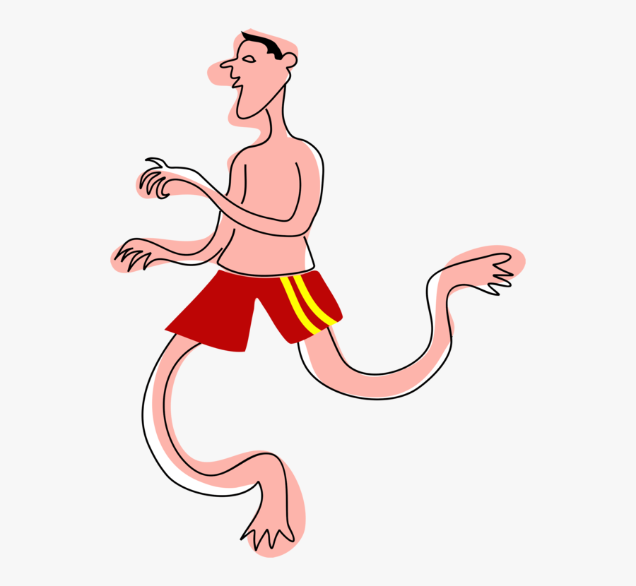 Muscle,stomach,neck - Illustration, Transparent Clipart