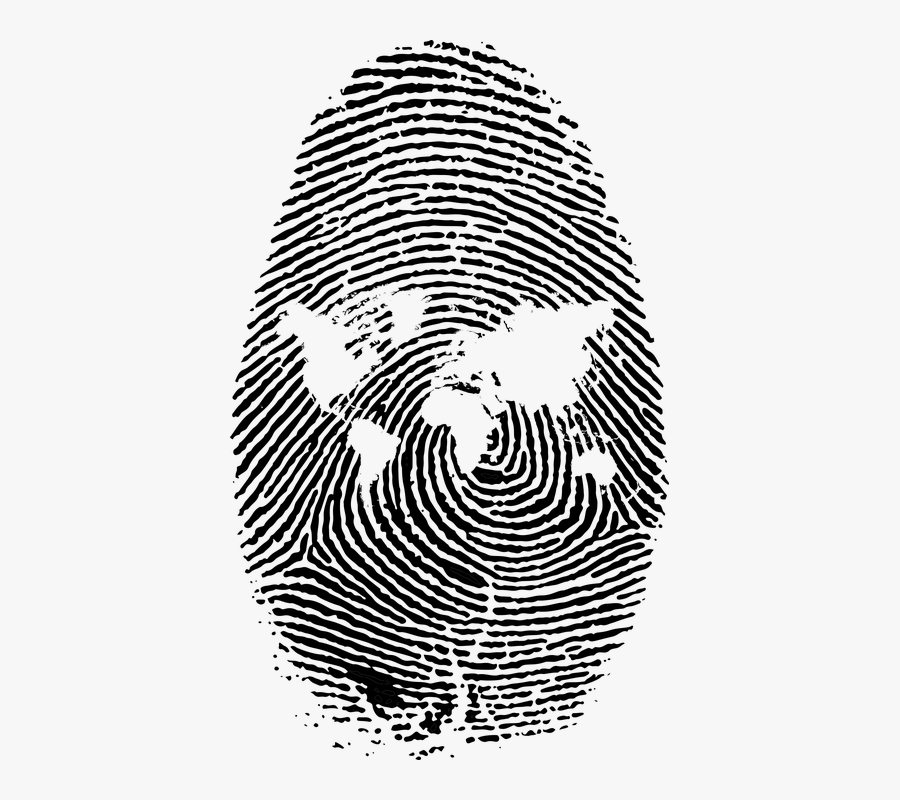 Fingerprint Png - Transparent Background Fingerprint Png, Transparent Clipart